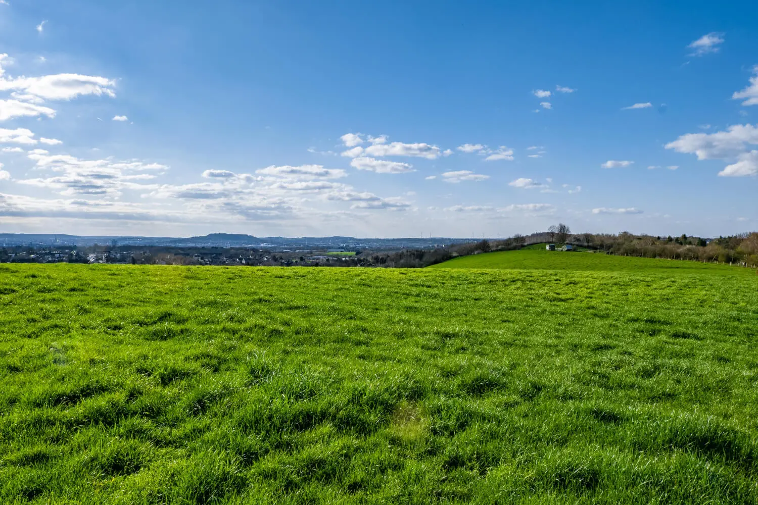 How can green ammonia help reach zero emissions